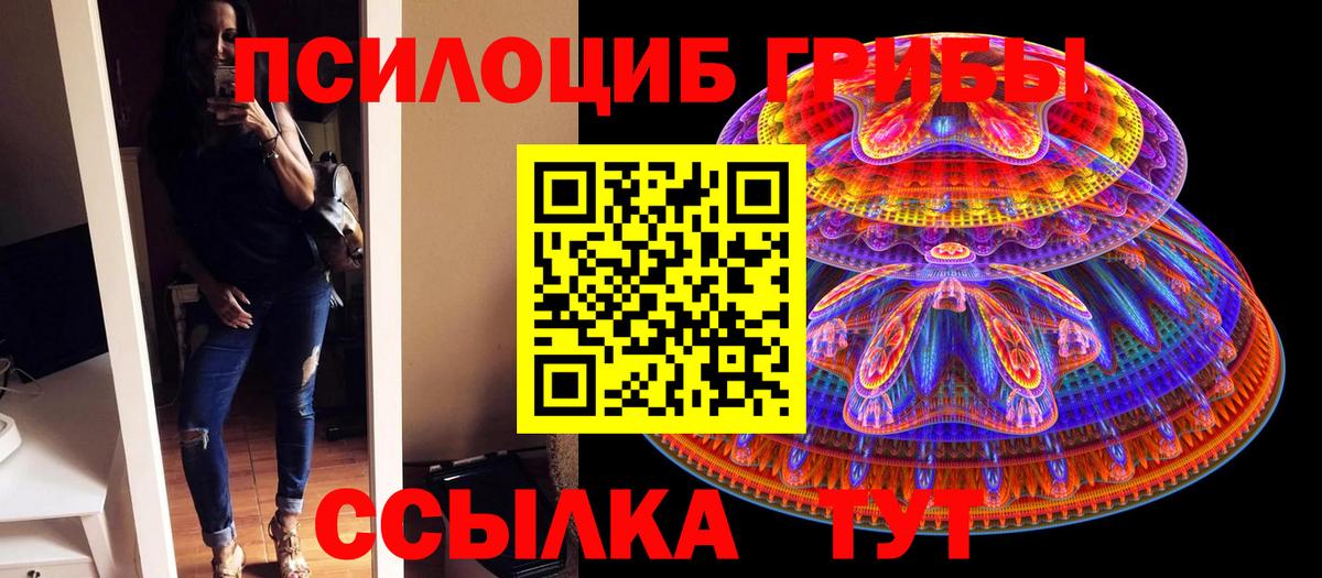 Выборг  Галлюциногенные грибы Magic Shrooms  Вход с VPN  Псилоцибиновые грибы Psilocybe 
